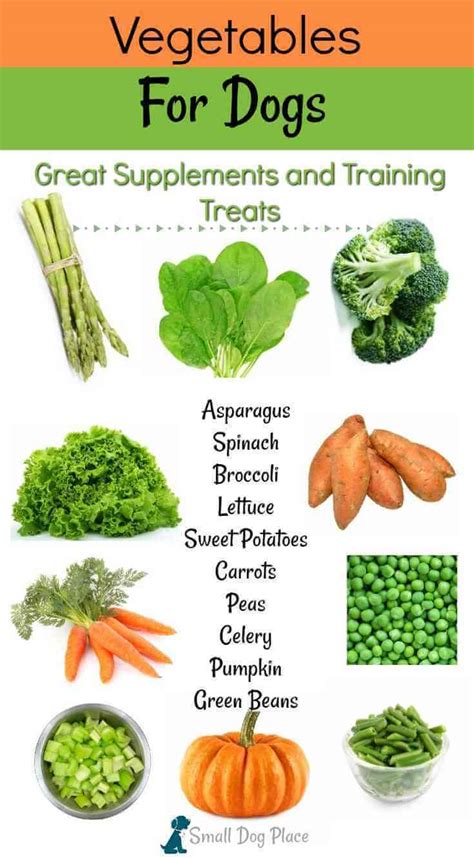 is monde mamon good for dogs|11 of the Best Vegetables for Dogs .